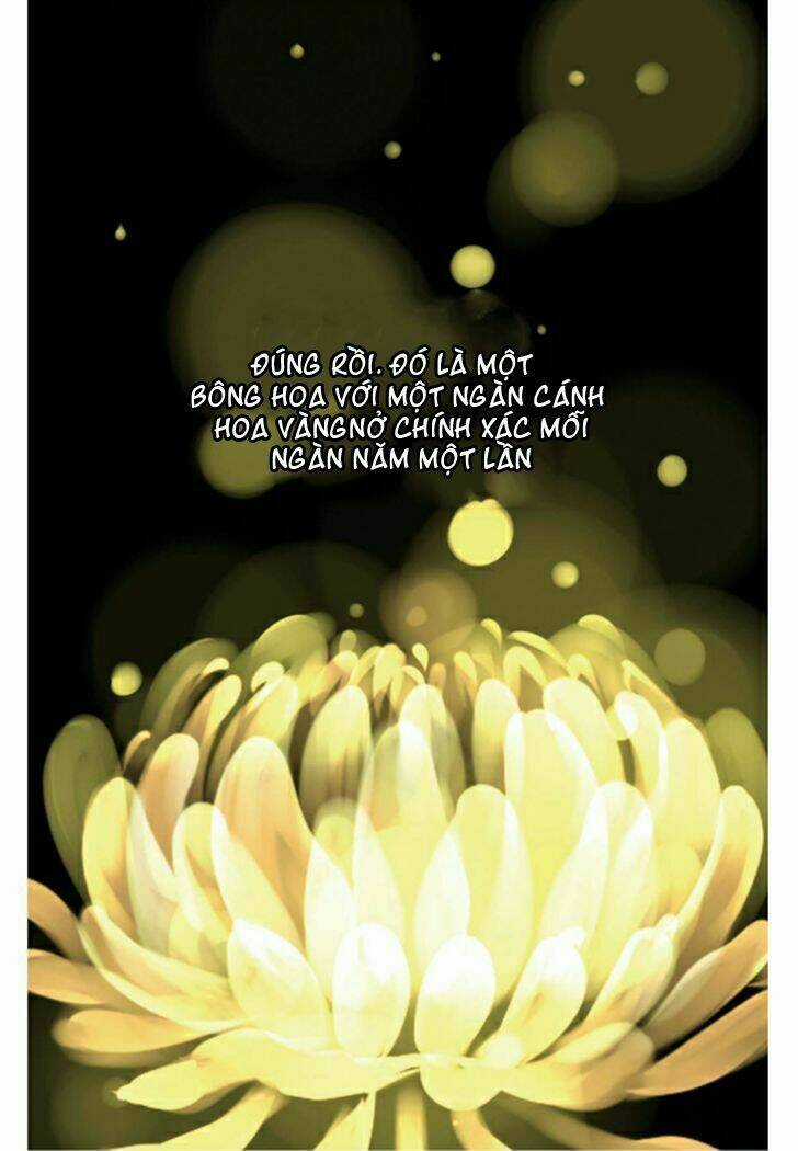 Một Ngàn Cánh Hoa Chapter 1 trang 5