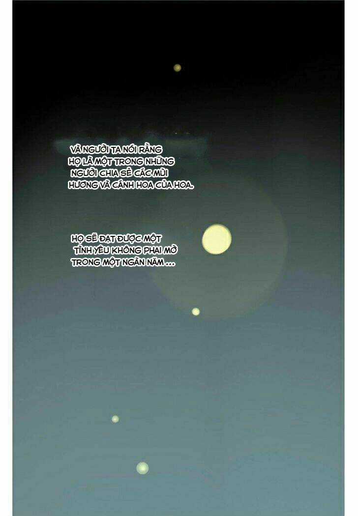 Một Ngàn Cánh Hoa Chapter 1 trang 7