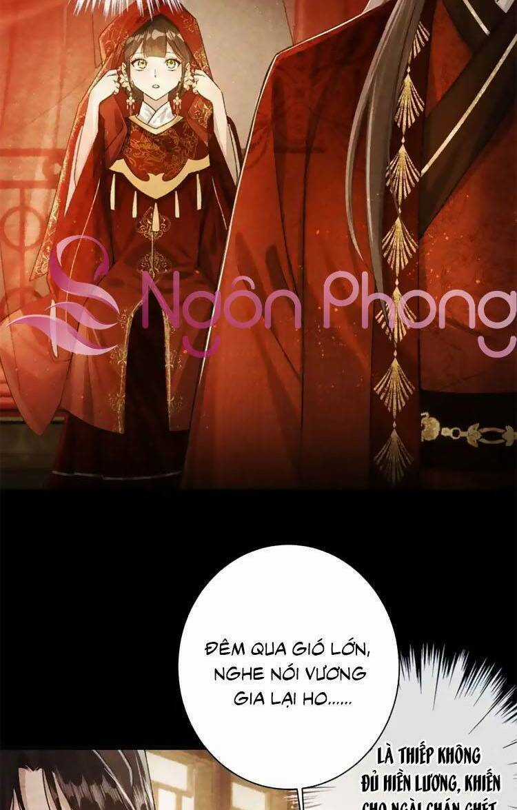 Một Ngàn Lần Thử Giết Chết Nam Chính Chapter 41 trang 2