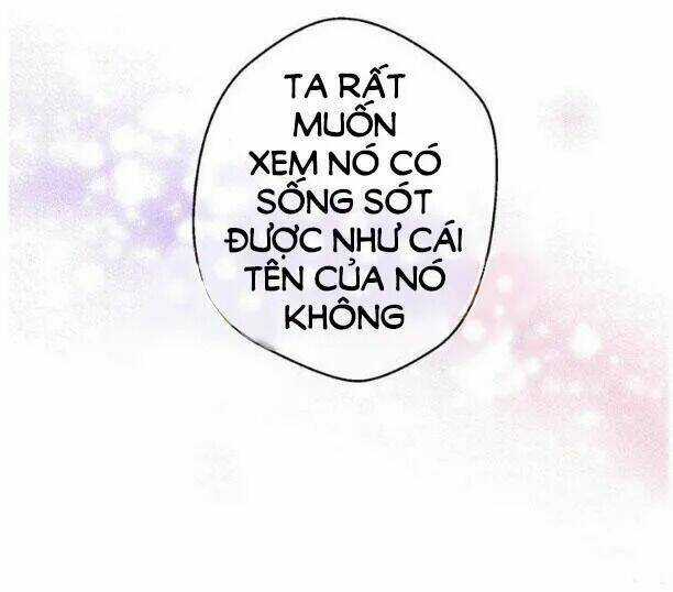 Một Ngày Nọ Ta Trở Thành Công Chúa Chapter 4 trang 14