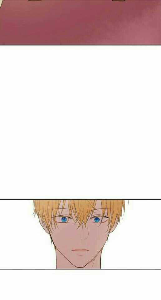 Một Ngày Nọ Ta Trở Thành Công Chúa Chapter 49 trang 20