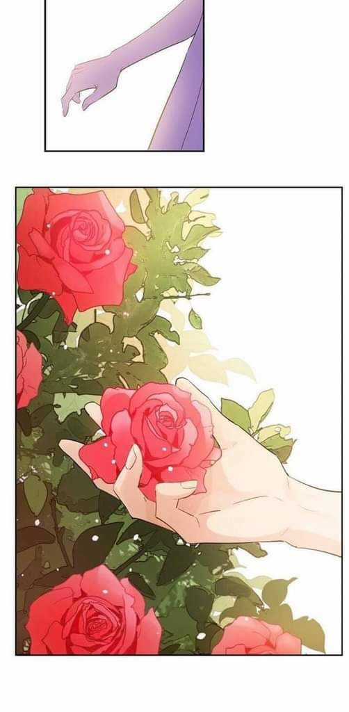 Một Ngày Nọ Ta Trở Thành Công Chúa Chapter 54 trang 12