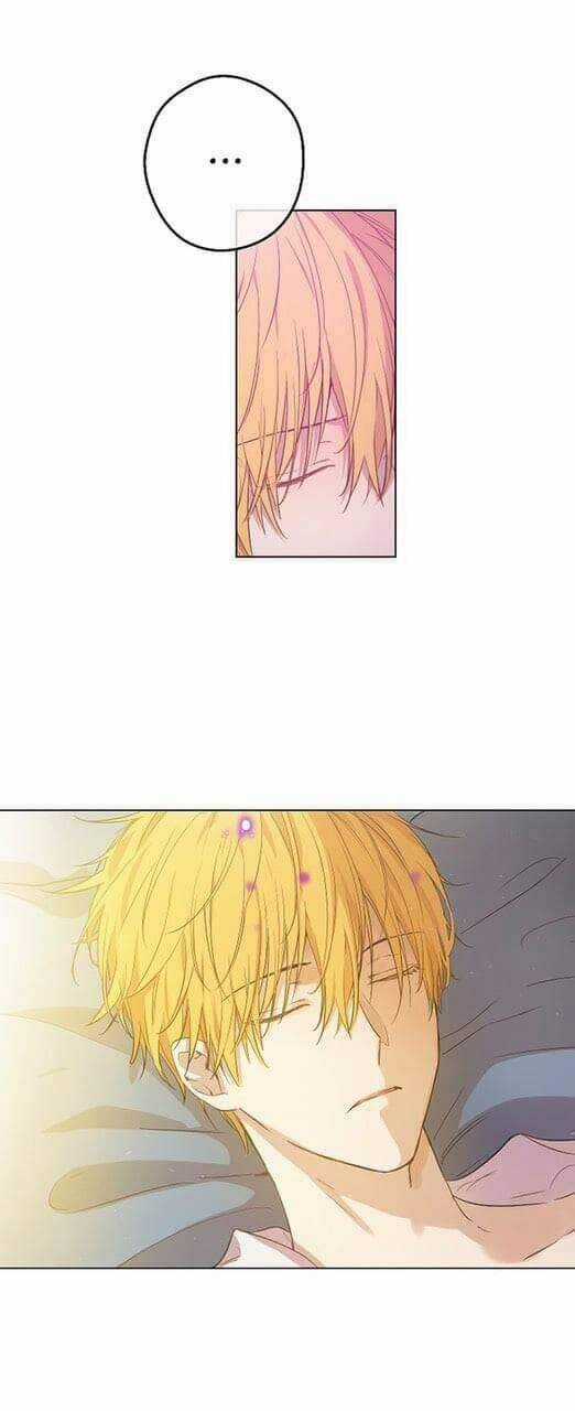 Một Ngày Nọ Ta Trở Thành Công Chúa Chapter 70 trang 4