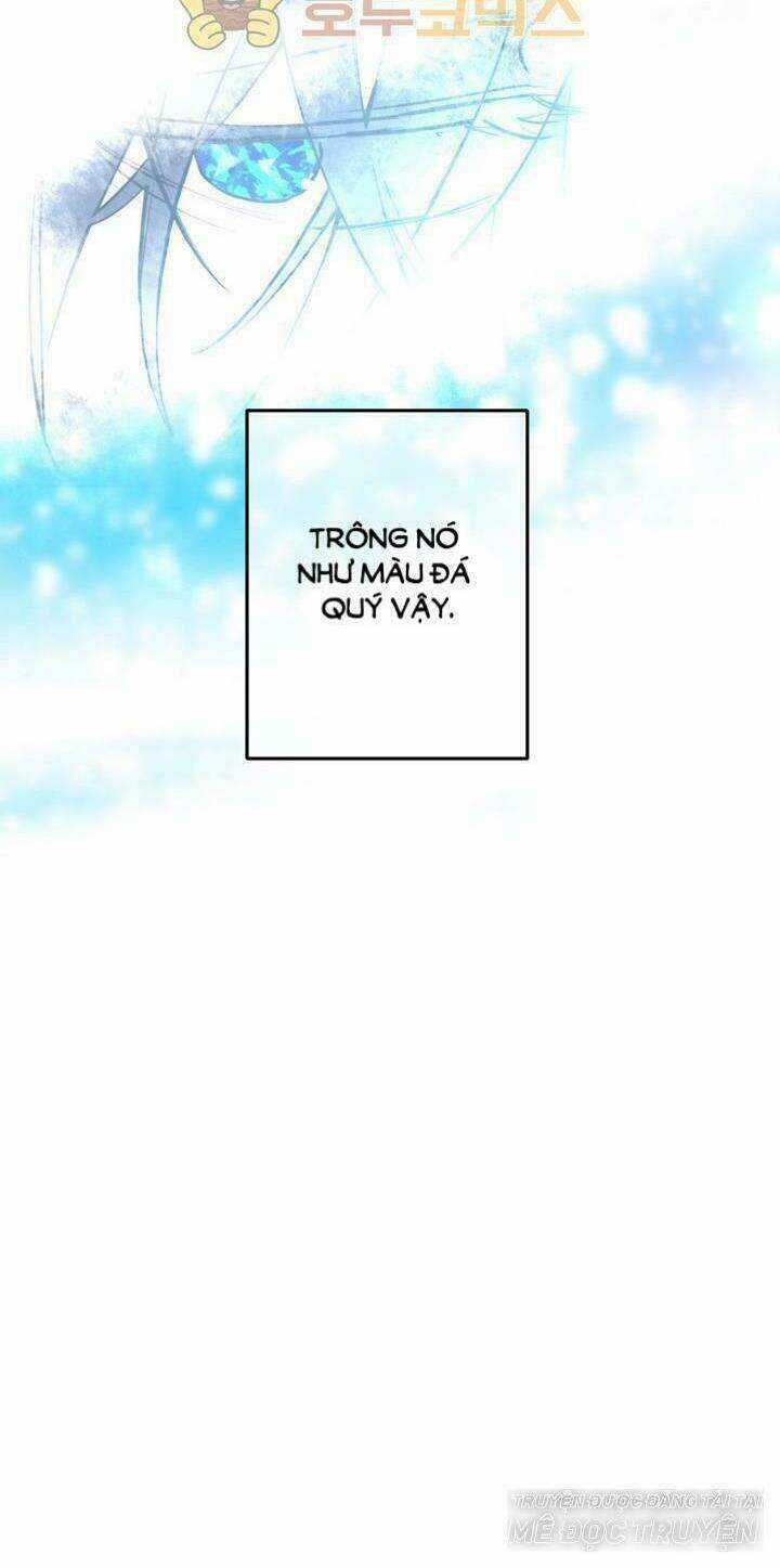 Một Ngày Nọ Tôi Bỗng Thành Nàng Công Chúa Chapter 25 trang 11