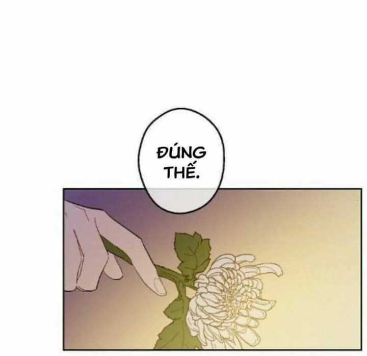 Một Ngày Nọ Tôi Bỗng Thành Nàng Công Chúa Chapter 55 trang 36