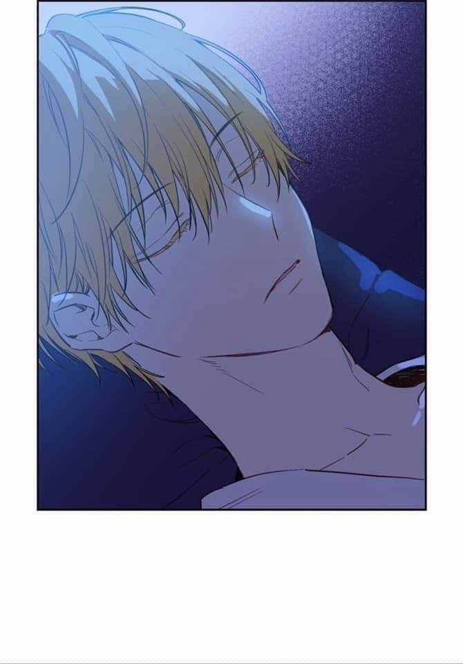 Một Ngày Nọ Tôi Bỗng Thành Nàng Công Chúa Chapter 56 trang 3