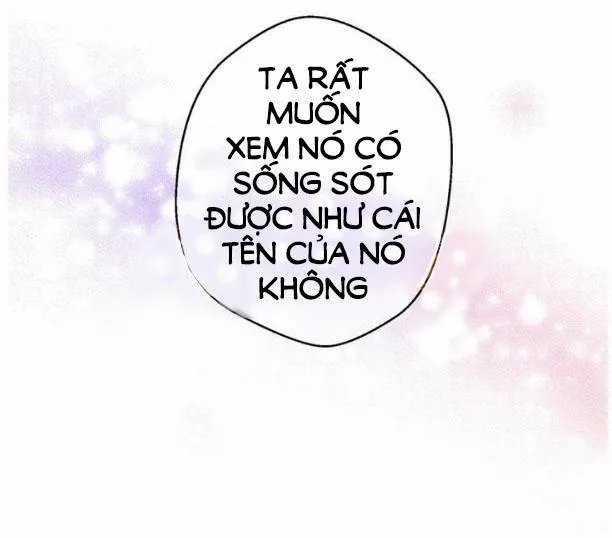 Một Ngày Nọ Tôi Bỗng Thành Nàng Công Chúa Chapter 9 trang 14