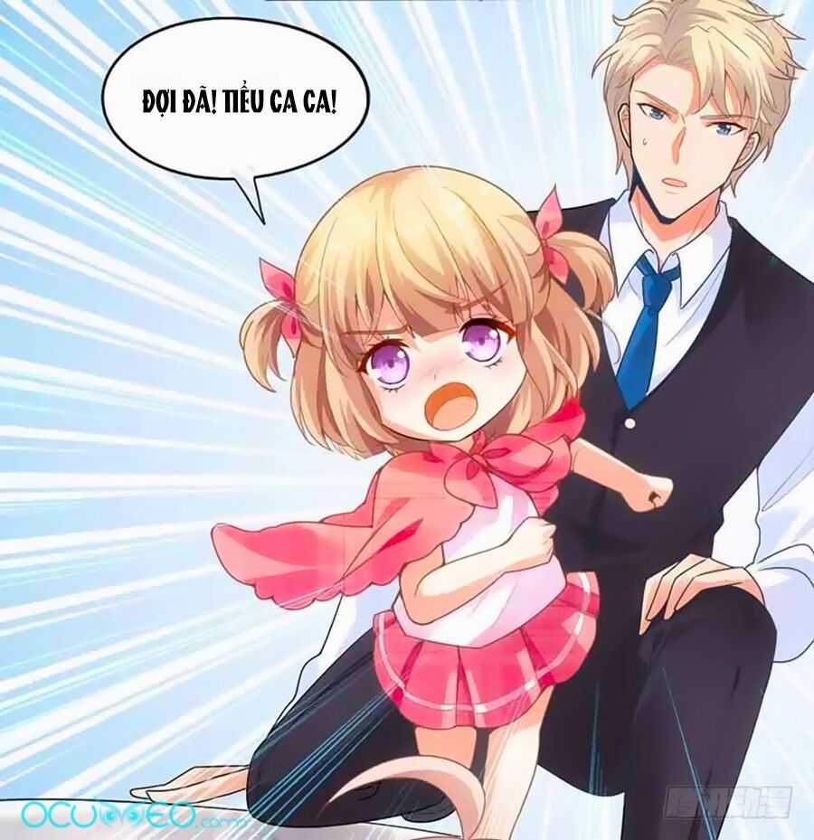 Một Thai Hai Bảo : Đưa Mami Về Nhà ! Chapter 15 trang 12