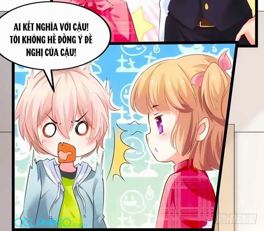 Một Thai Hai Bảo : Đưa Mami Về Nhà ! Chapter 15 trang 7