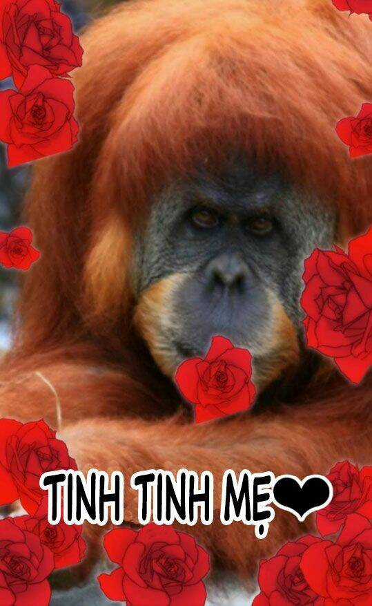 Một Vạn Tư Thế Công Lược Yêu Nam Chapter 11 trang 25