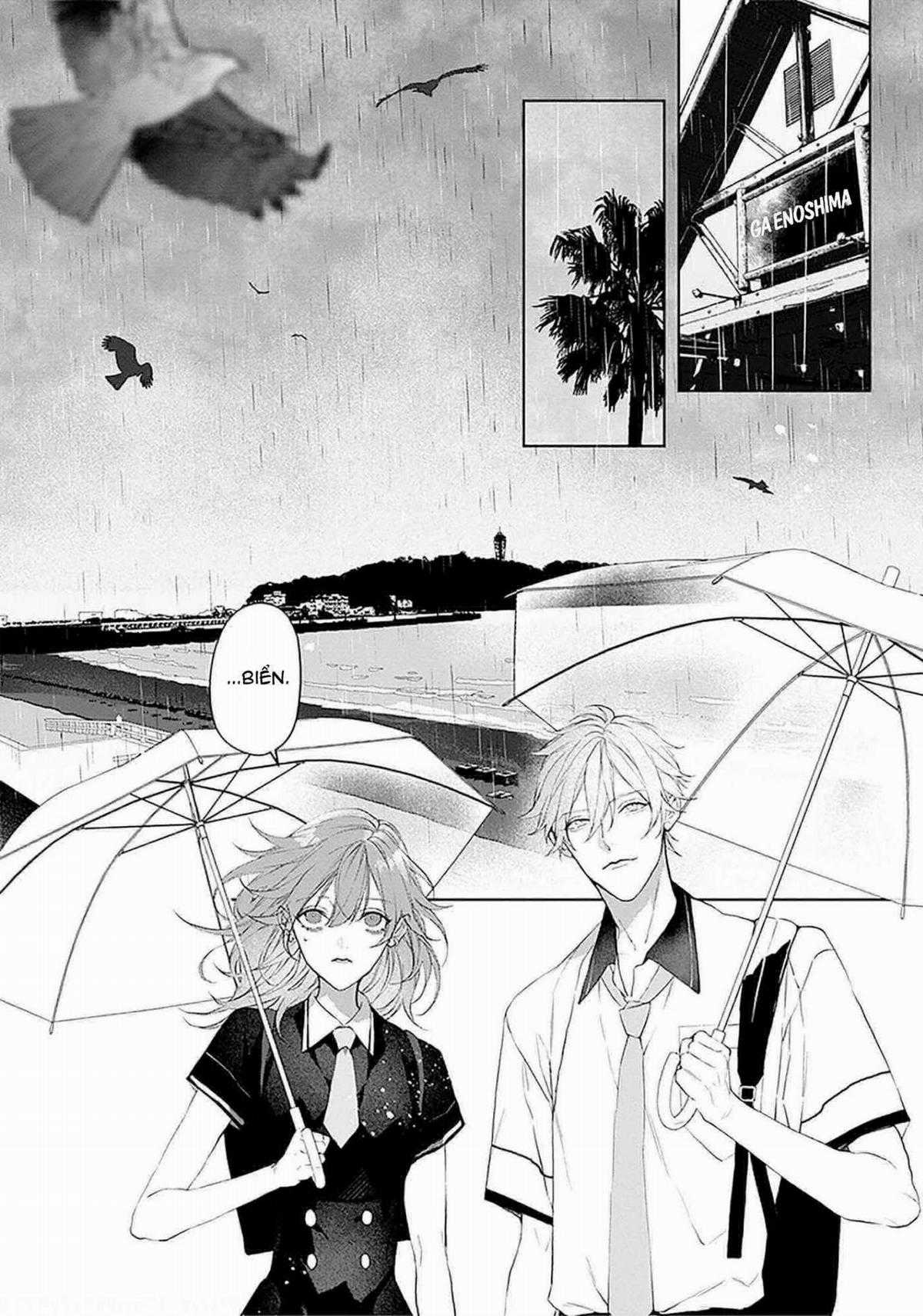 Mr. Mallow Blue Chapter 14 trang 13