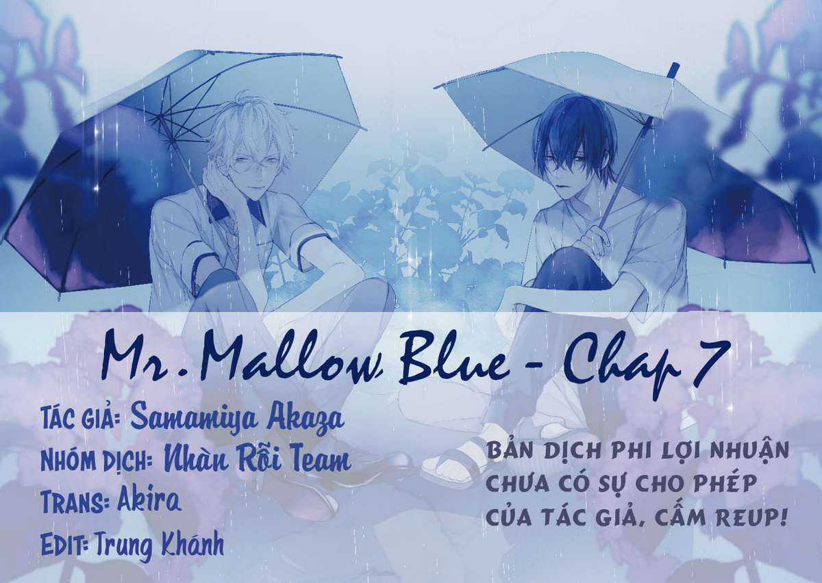 Mr. Mallow Blue Chapter 7 trang 0