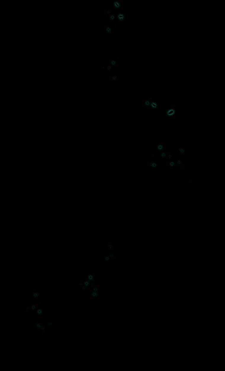 Mùa Đông Tăm Tối Chapter 10 trang 28