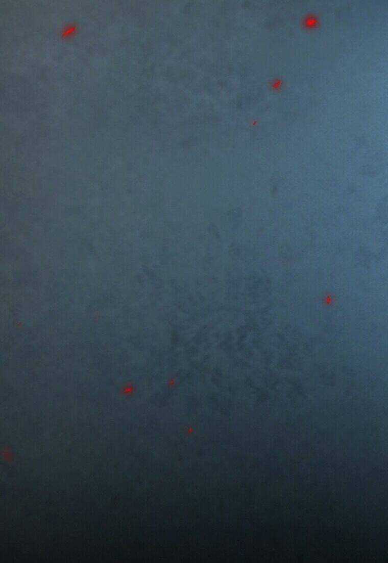 Mùa Đông Tăm Tối Chapter 101 trang 69