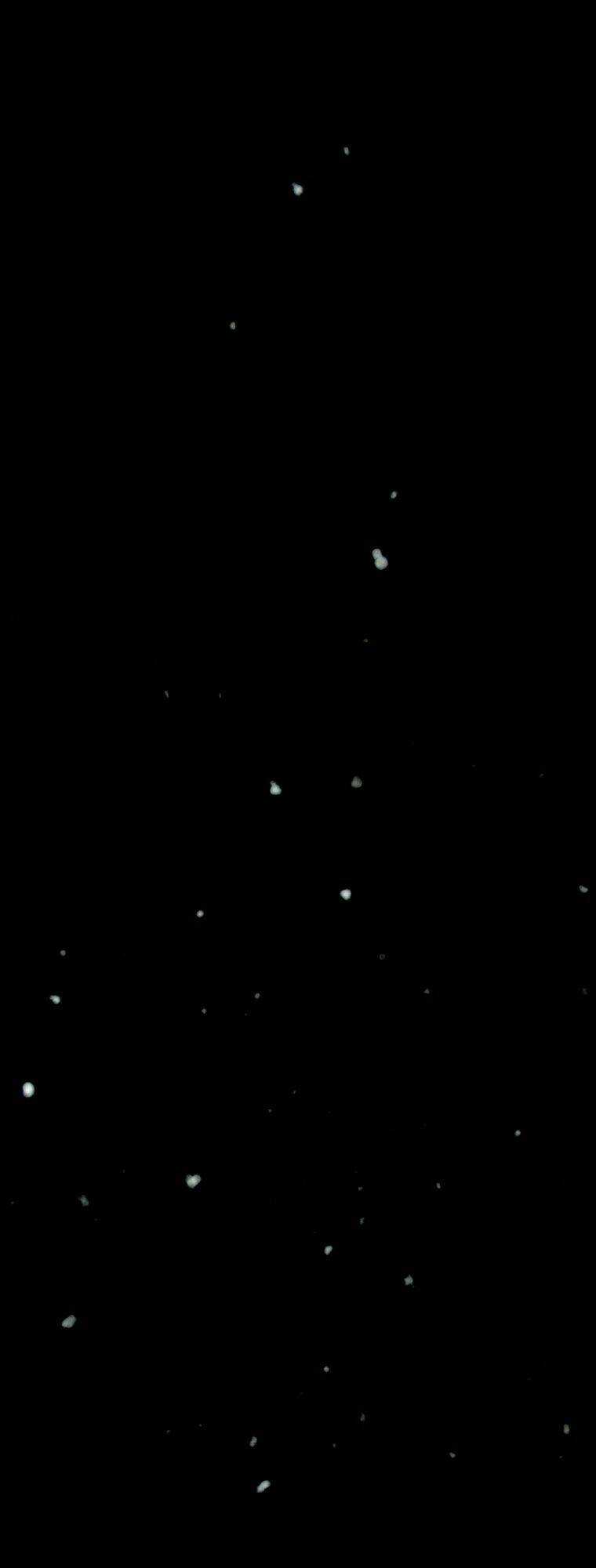 Mùa Đông Tăm Tối Chapter 11 trang 32