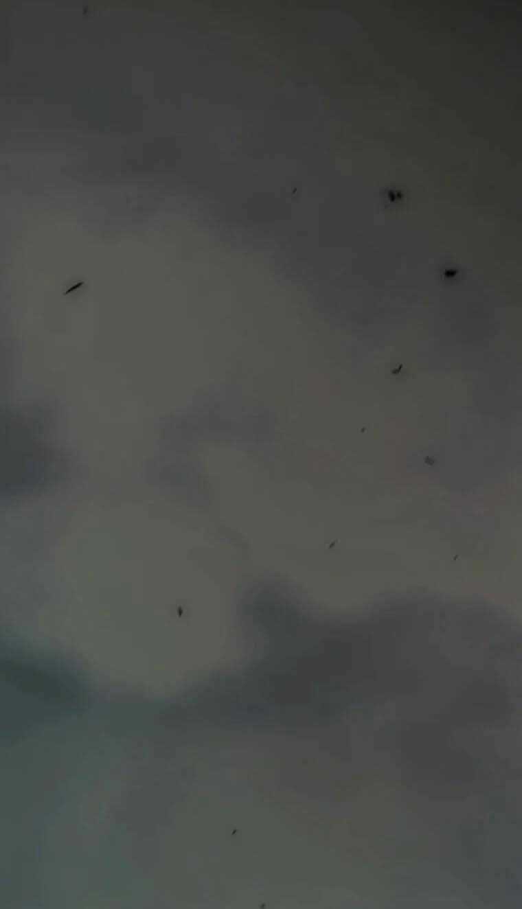 Mùa Đông Tăm Tối Chapter 118 trang 52