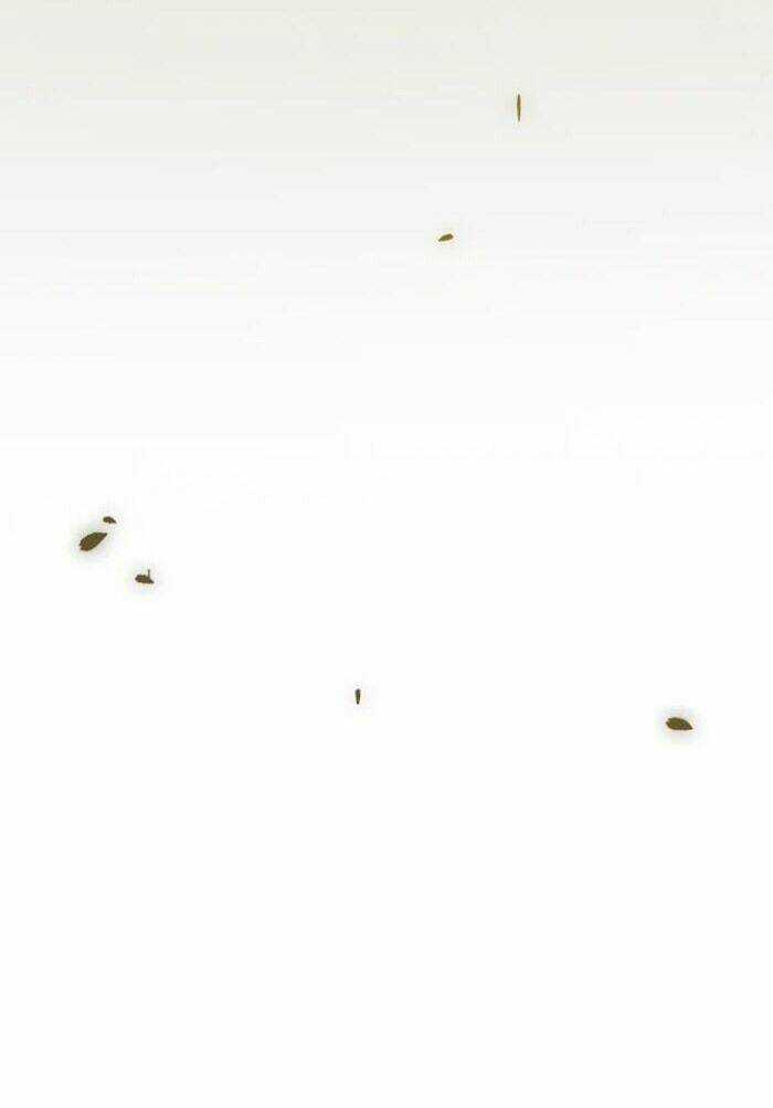 Mùa Đông Tăm Tối Chapter 122 trang 5