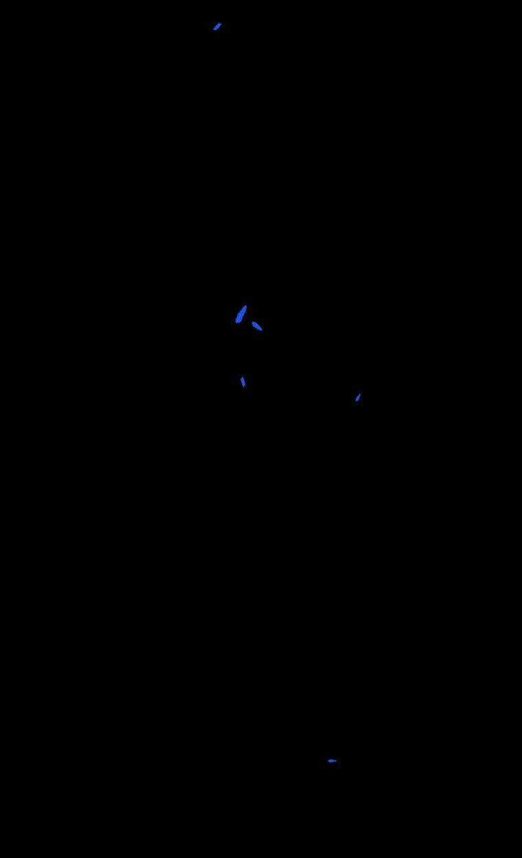 Mùa Đông Tăm Tối Chapter 14 trang 16