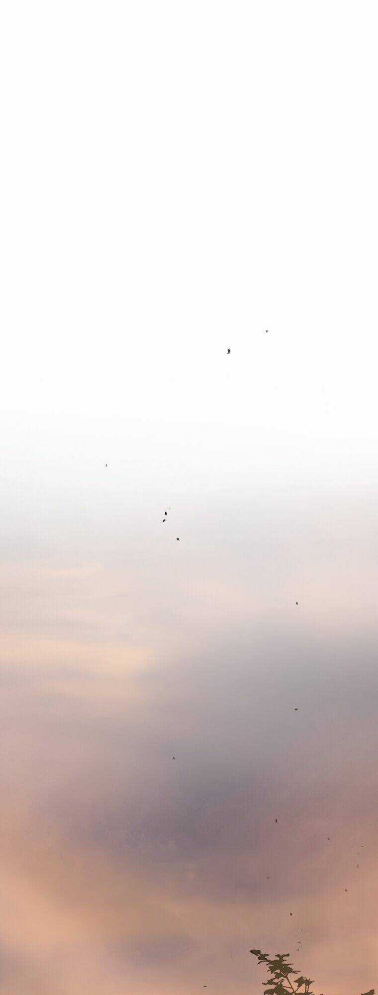 Mùa Đông Tăm Tối Chapter 24 trang 21