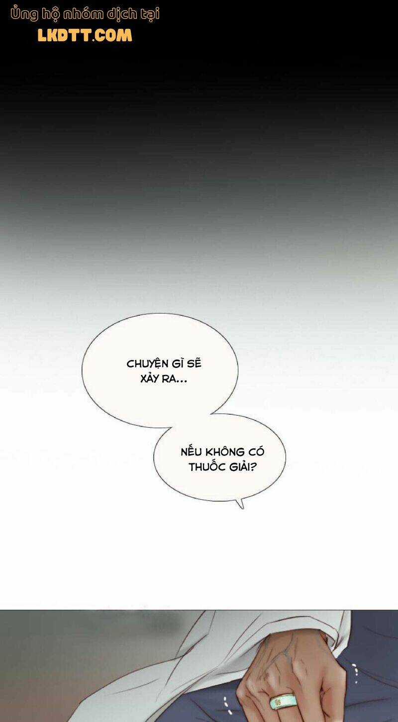 Mùa Đông Tăm Tối Chapter 71 trang 16