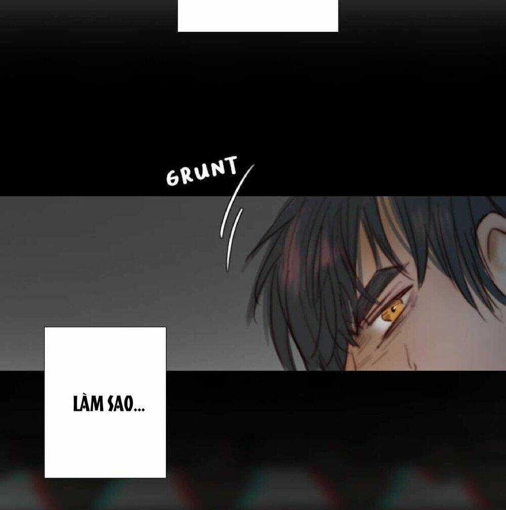 Mùa Đông Tăm Tối Chapter 75 trang 82