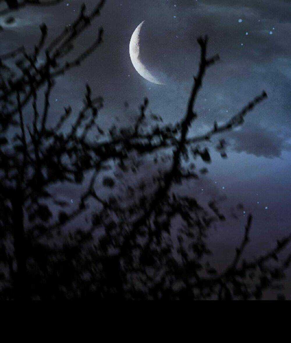 Mùa Đông Tăm Tối Chapter 76 trang 68