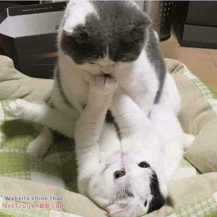 Mùa hè dài ngày 31 tháng 8 Chapter 17 trang 21