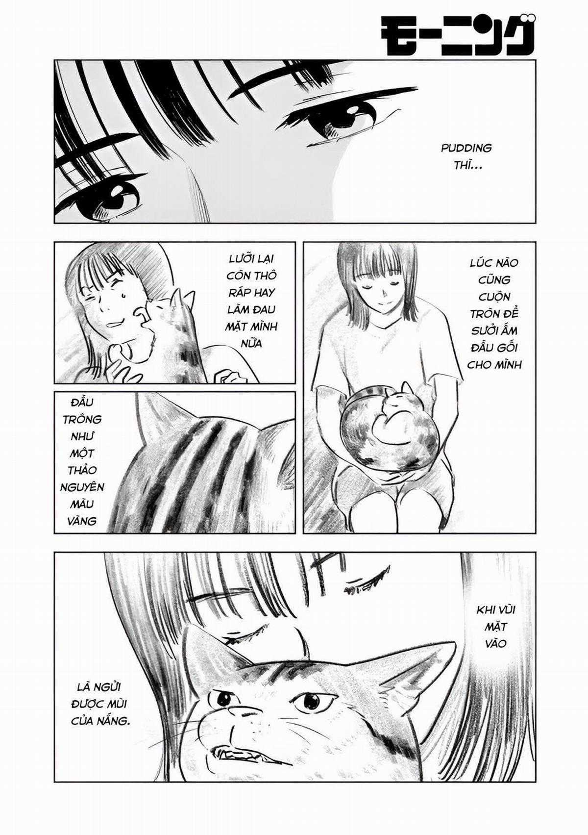 Mùa hè dài ngày 31 tháng 8 Chapter 22 trang 16