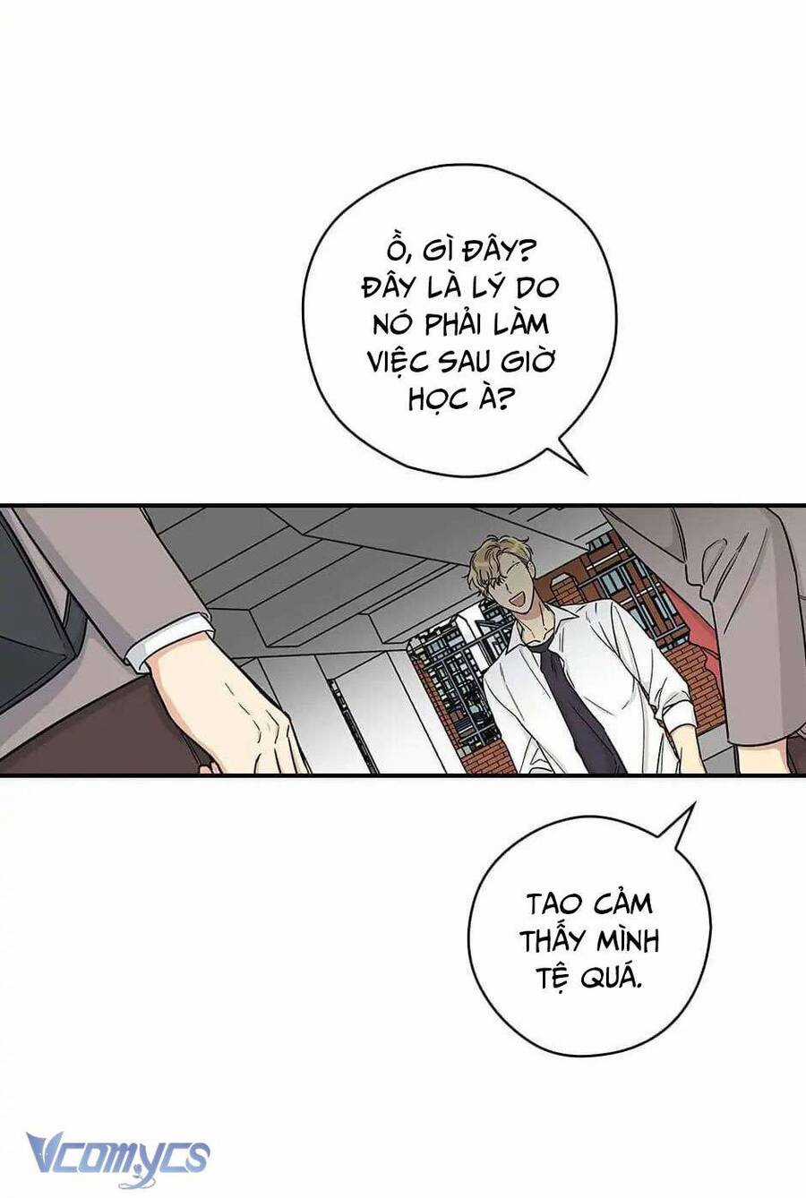 Mùa Xuân Của Espresso Chapter 13 trang 7