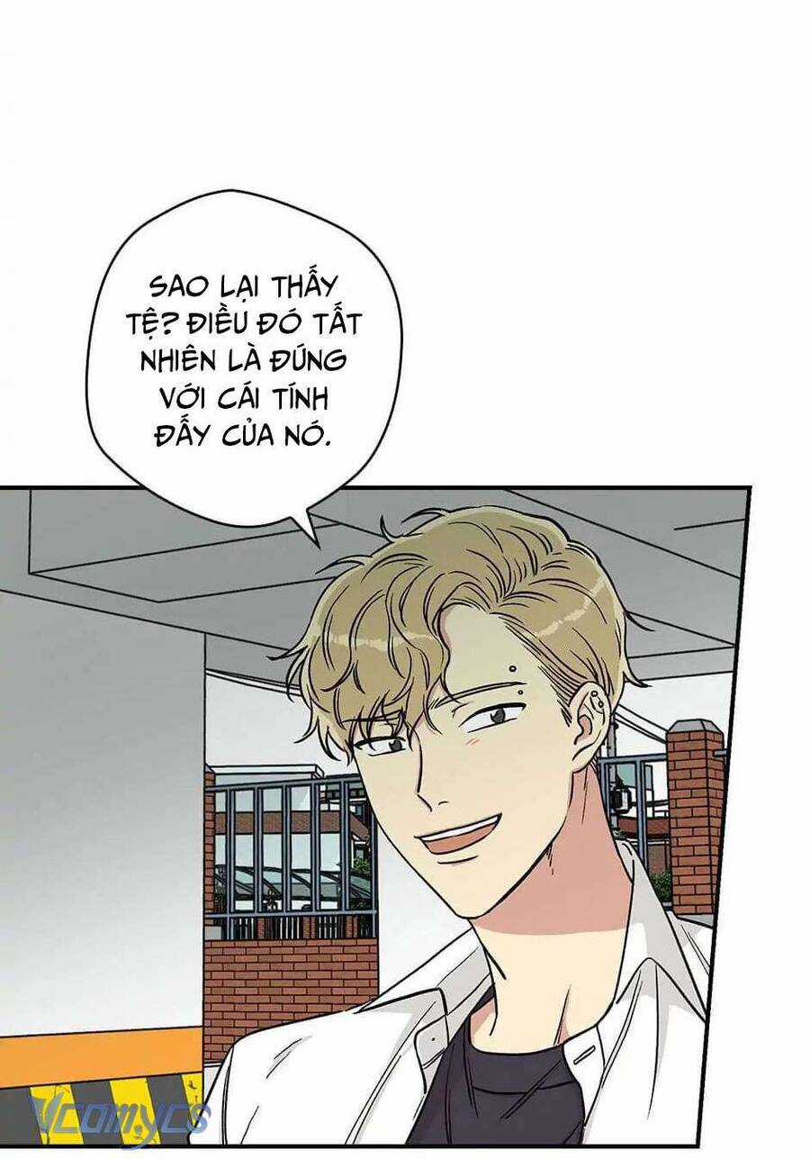 Mùa Xuân Của Espresso Chapter 13 trang 8