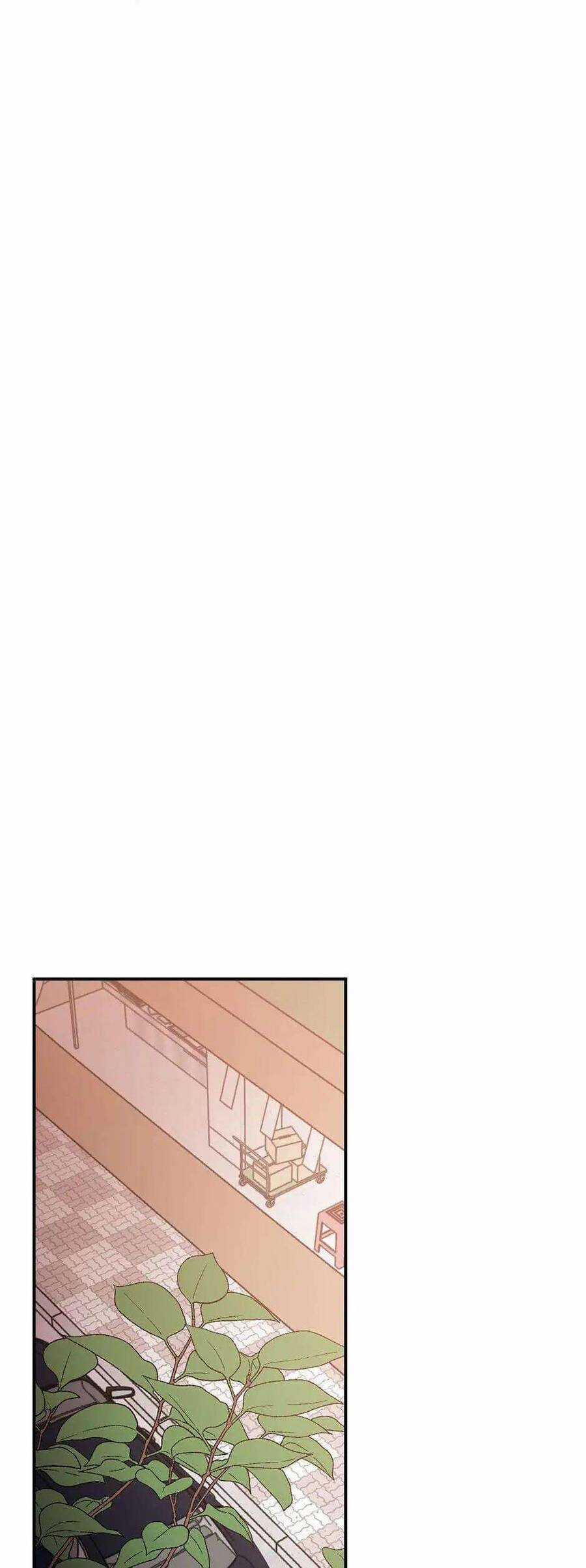 Mùa Xuân Của Espresso Chapter 33 trang 22