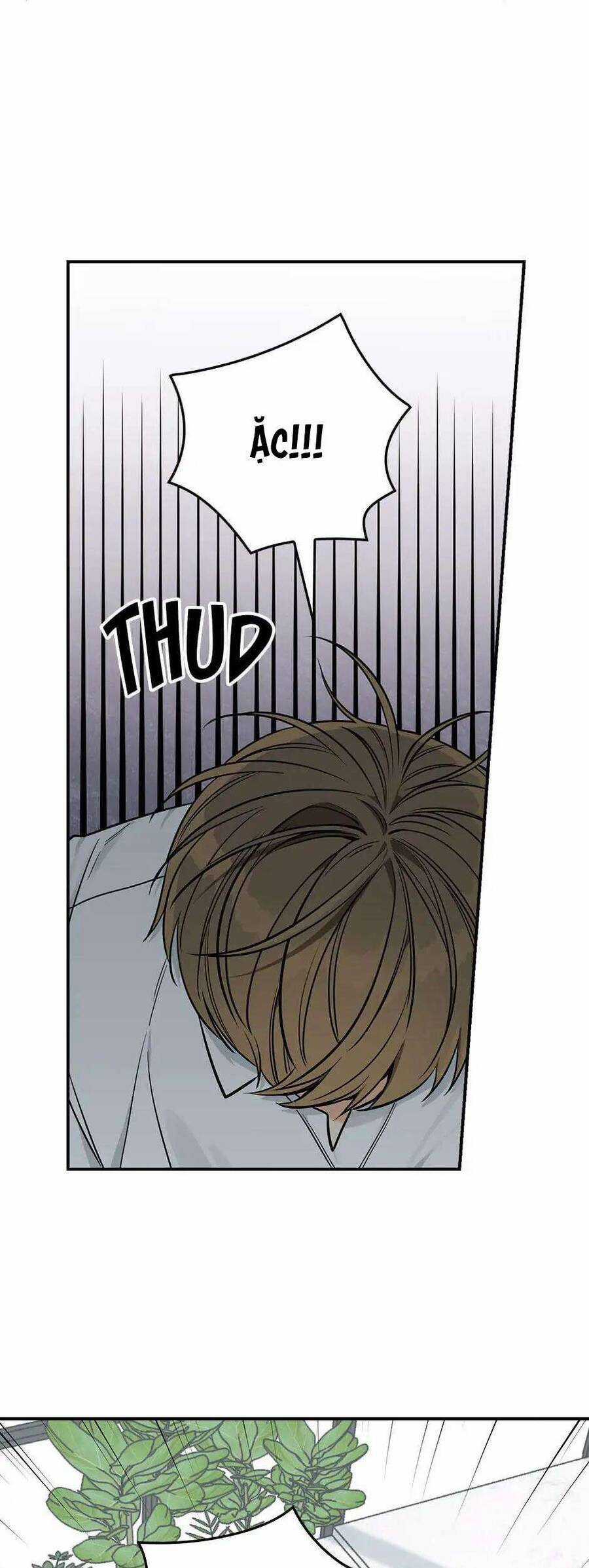 Mùa Xuân Của Espresso Chapter 35 trang 5