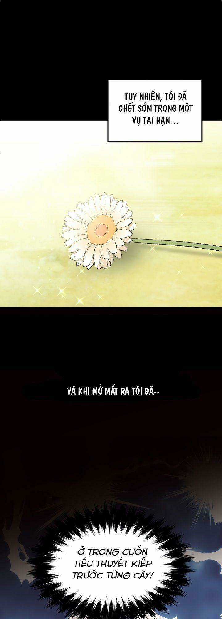 Mục Tiêu Là Cuộc Sống Hoàn Hảo Bất Khả Xâm Phạm Chapter 1 trang 31