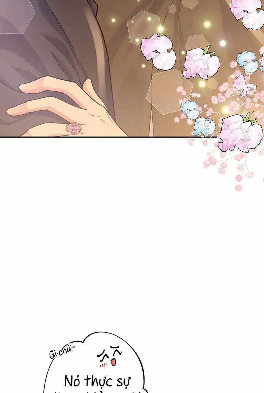 Mục Tiêu Là Cuộc Sống Hoàn Hảo Bất Khả Xâm Phạm Chapter 105 trang 69