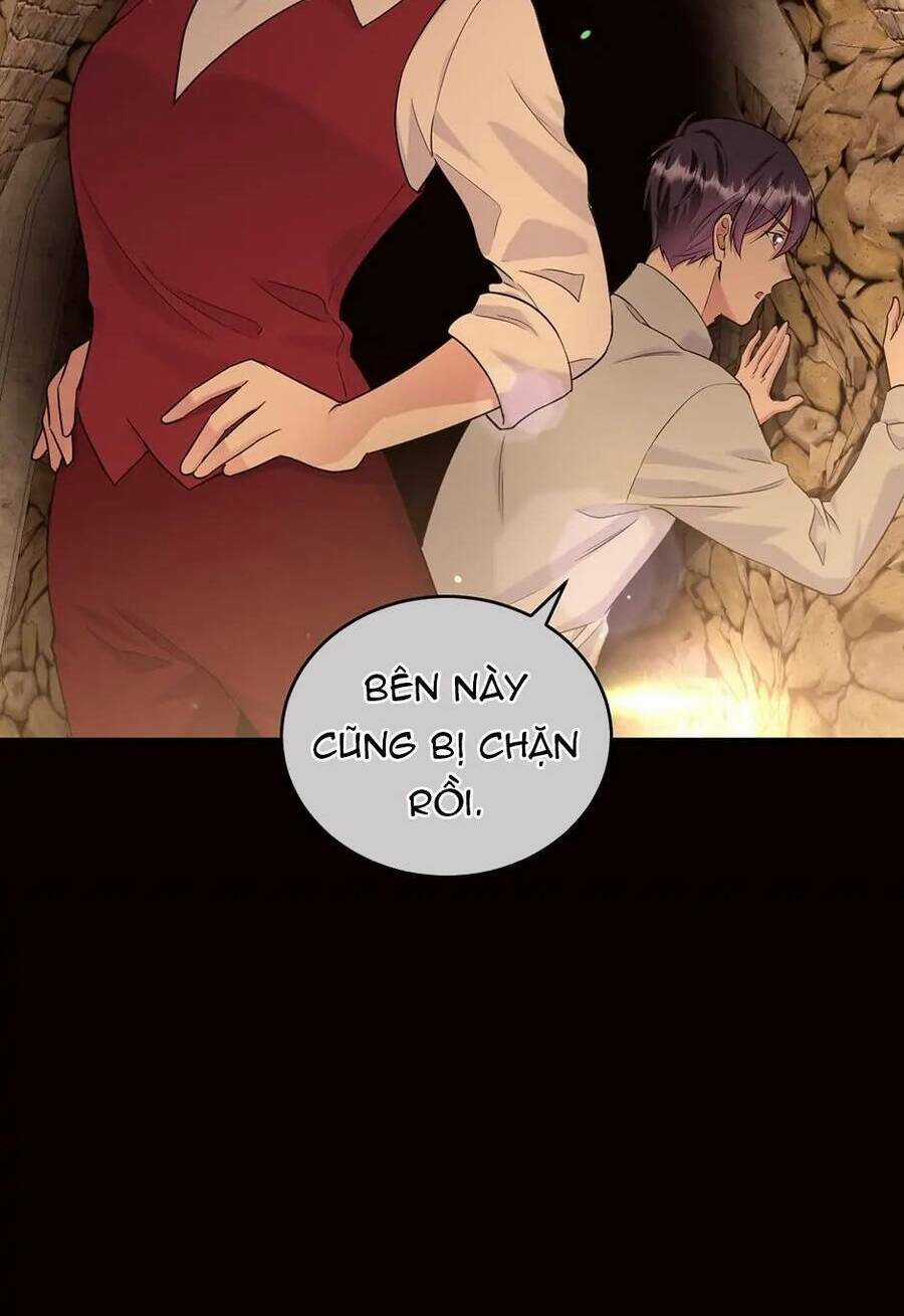 Mục Tiêu Là Cuộc Sống Hoàn Hảo Bất Khả Xâm Phạm Chapter 106 trang 15