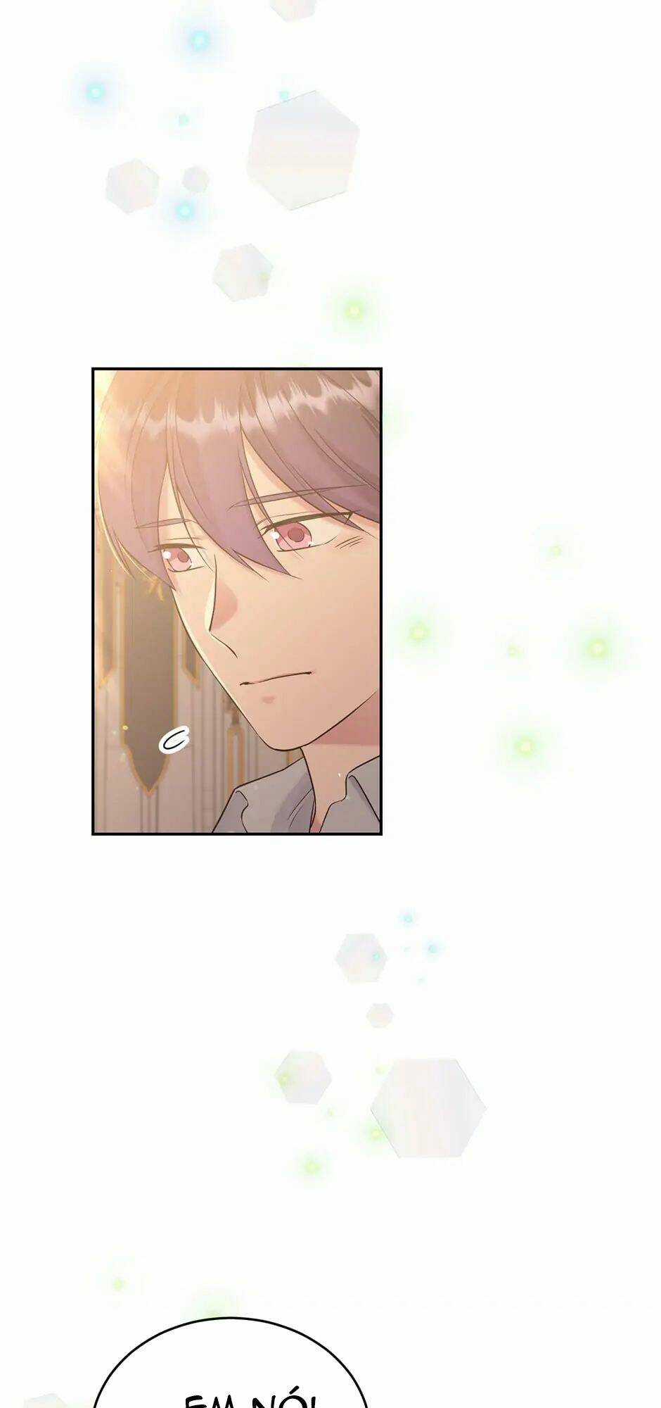 Mục Tiêu Là Cuộc Sống Hoàn Hảo Bất Khả Xâm Phạm Chapter 111 trang 17