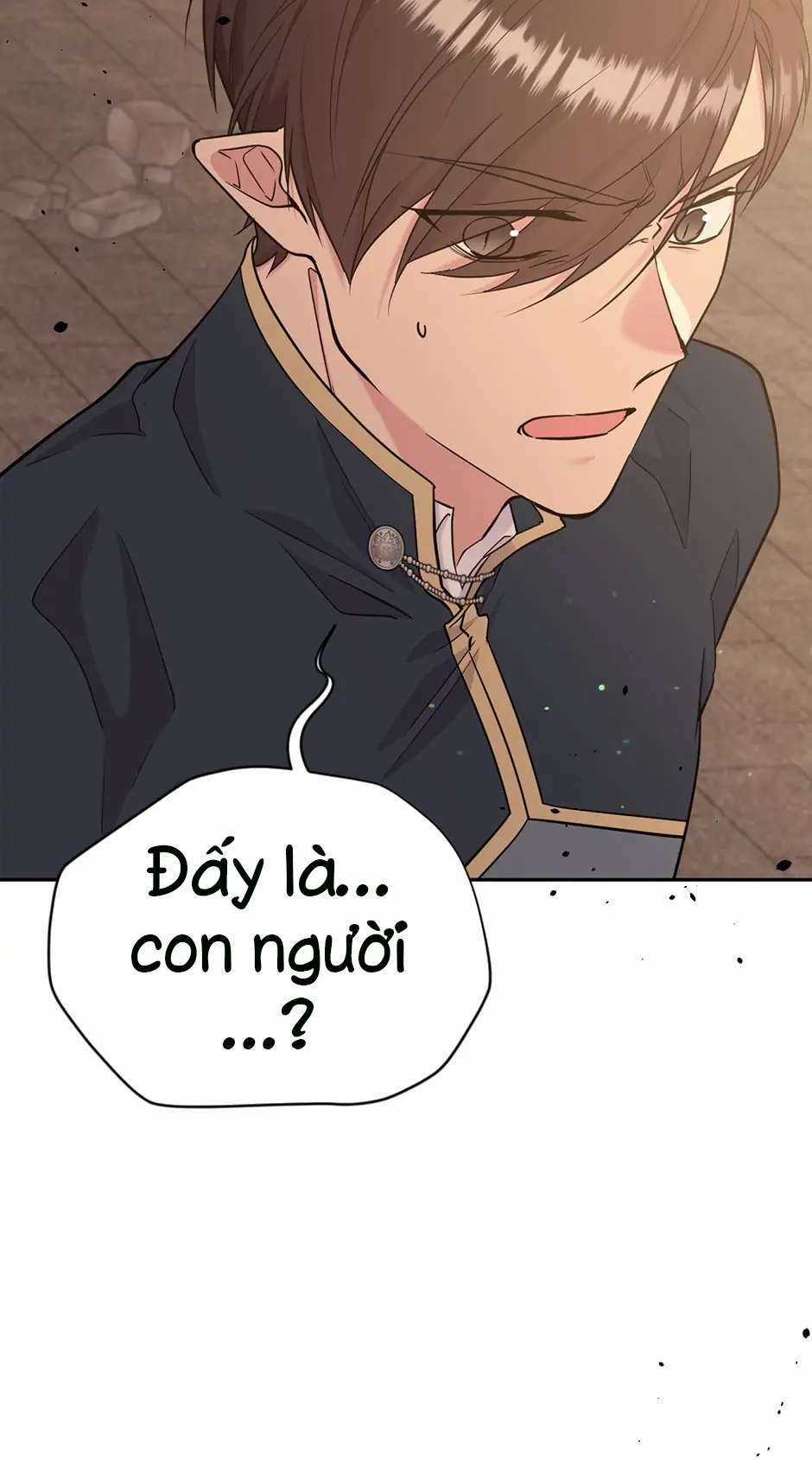 Mục Tiêu Là Cuộc Sống Hoàn Hảo Bất Khả Xâm Phạm Chapter 123 trang 52