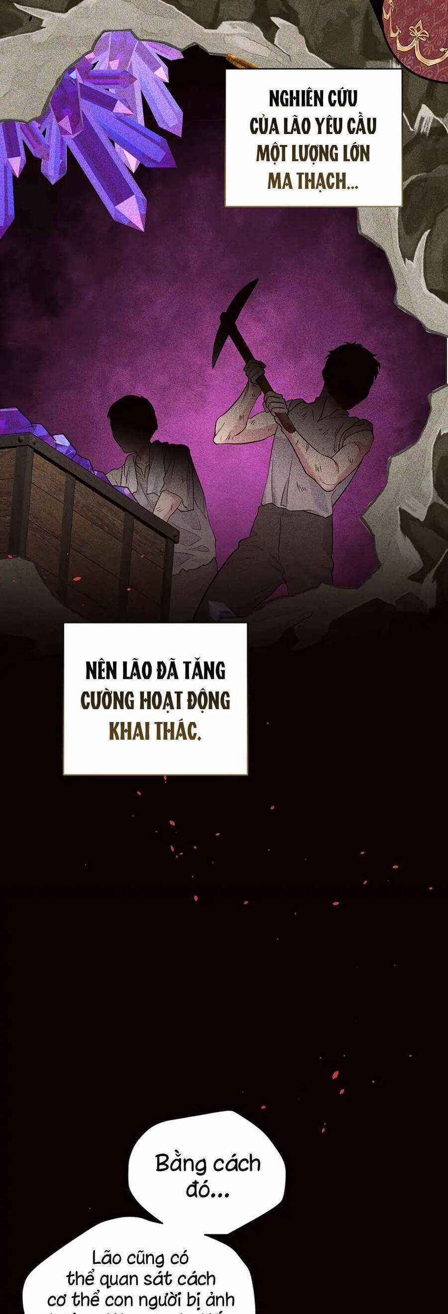 Mục Tiêu Là Cuộc Sống Hoàn Hảo Bất Khả Xâm Phạm Chapter 124 trang 17