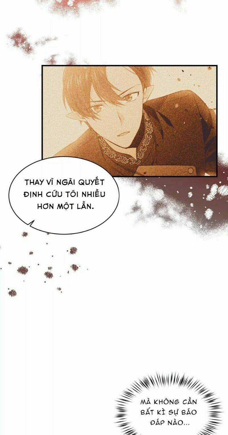 Mục Tiêu Là Cuộc Sống Hoàn Hảo Bất Khả Xâm Phạm Chapter 17 trang 12