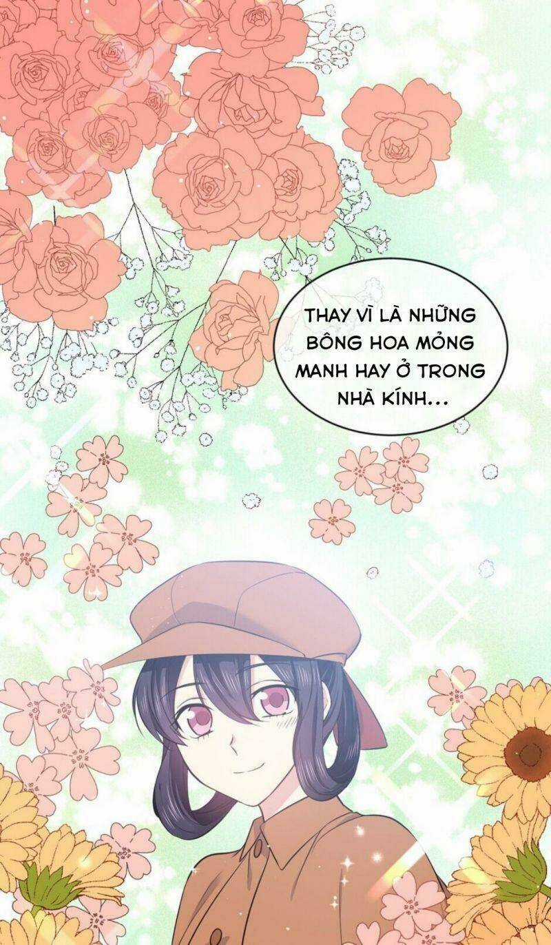 Mục Tiêu Là Cuộc Sống Hoàn Hảo Bất Khả Xâm Phạm Chapter 23 trang 19