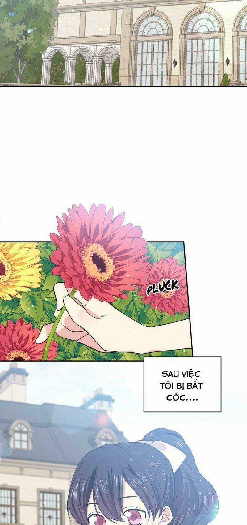 Mục Tiêu Là Cuộc Sống Hoàn Hảo Bất Khả Xâm Phạm Chapter 25 trang 48