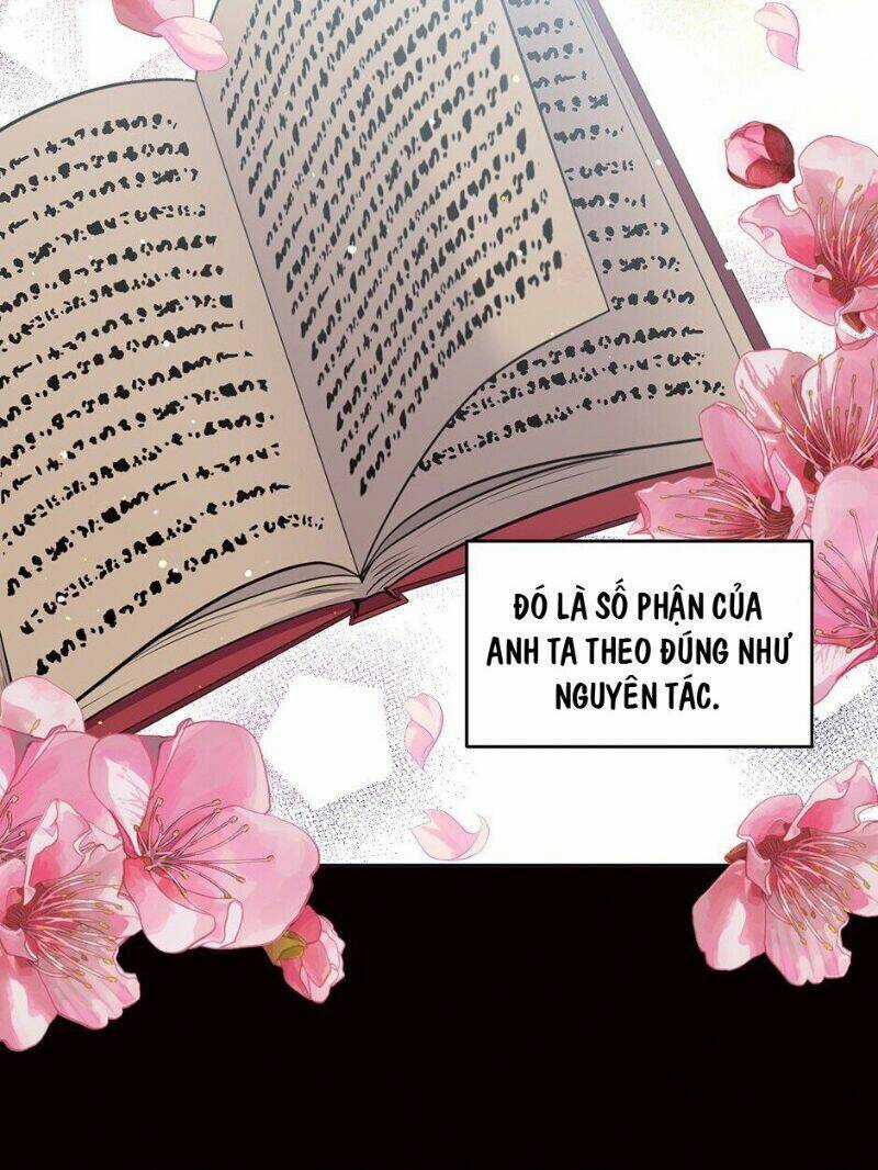 Mục Tiêu Là Cuộc Sống Hoàn Hảo Bất Khả Xâm Phạm Chapter 31 trang 13