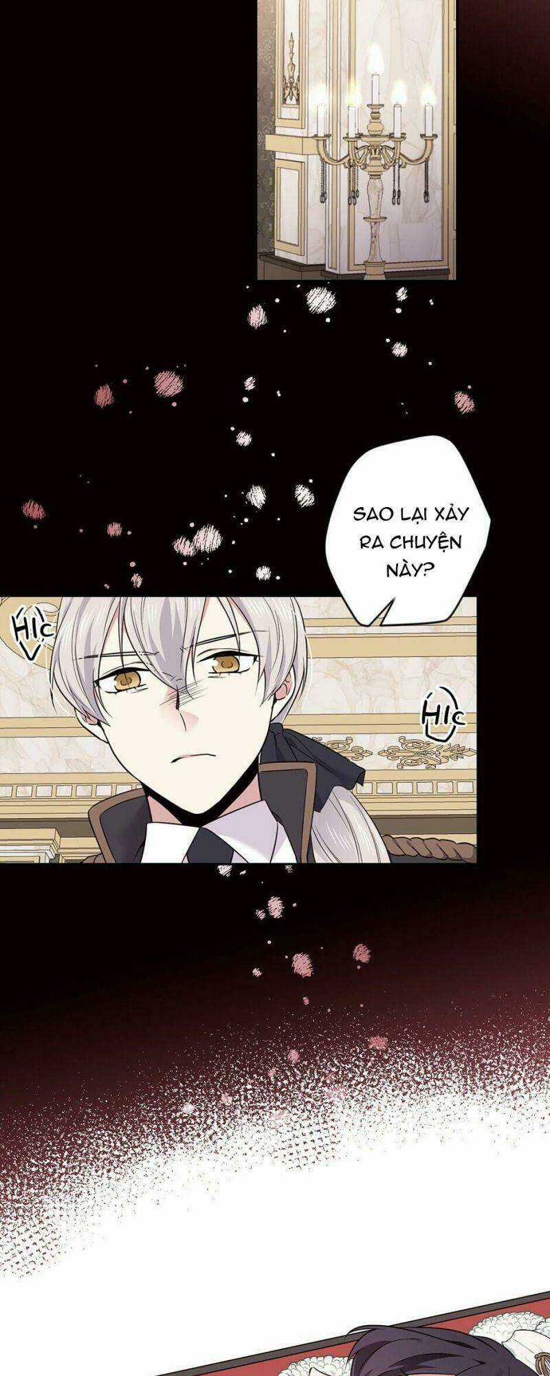 Mục Tiêu Là Cuộc Sống Hoàn Hảo Bất Khả Xâm Phạm Chapter 44 trang 5