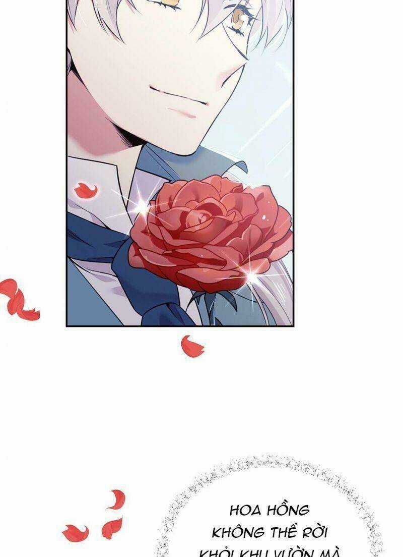 Mục Tiêu Là Cuộc Sống Hoàn Hảo Bất Khả Xâm Phạm Chapter 61 trang 37