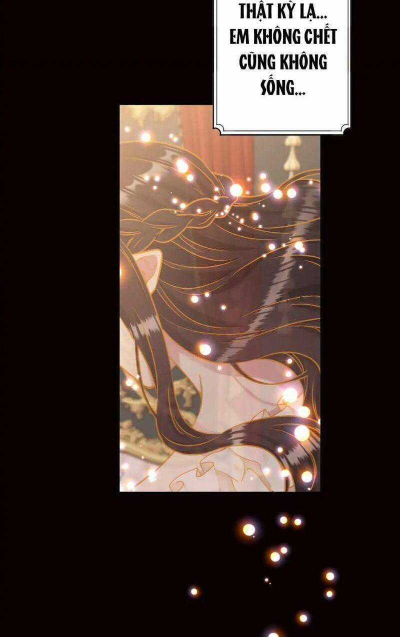 Mục Tiêu Là Cuộc Sống Hoàn Hảo Bất Khả Xâm Phạm Chapter 96 trang 20