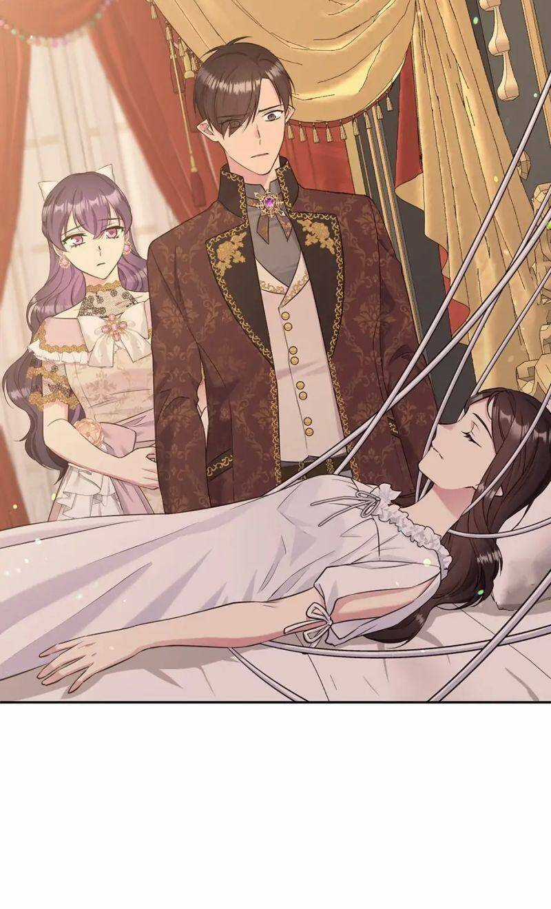 Mục Tiêu Là Cuộc Sống Hoàn Hảo Bất Khả Xâm Phạm Chapter 96 trang 77