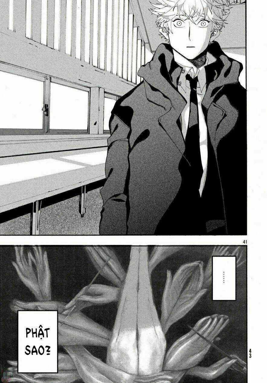 Mười Đại Đế Đều Là Đồ Đệ Của Ta Chapter 10 trang 41