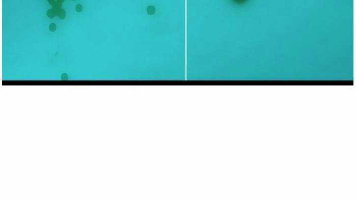 Murim Thời Hiện Đại Chapter 51 trang 13