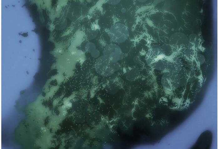 Murim Thời Hiện Đại Chapter 51 trang 9