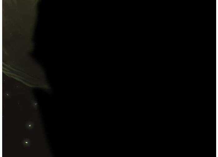 Murim Thời Hiện Đại Chapter 64 trang 68